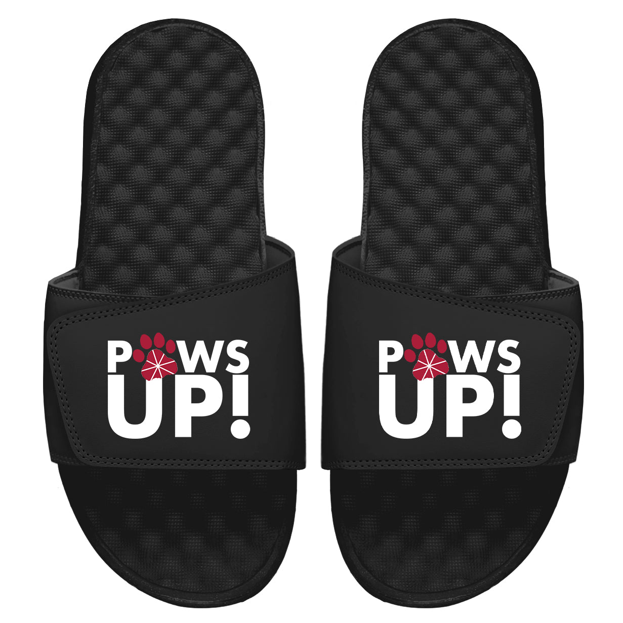 Chapman University Paws Up Slides