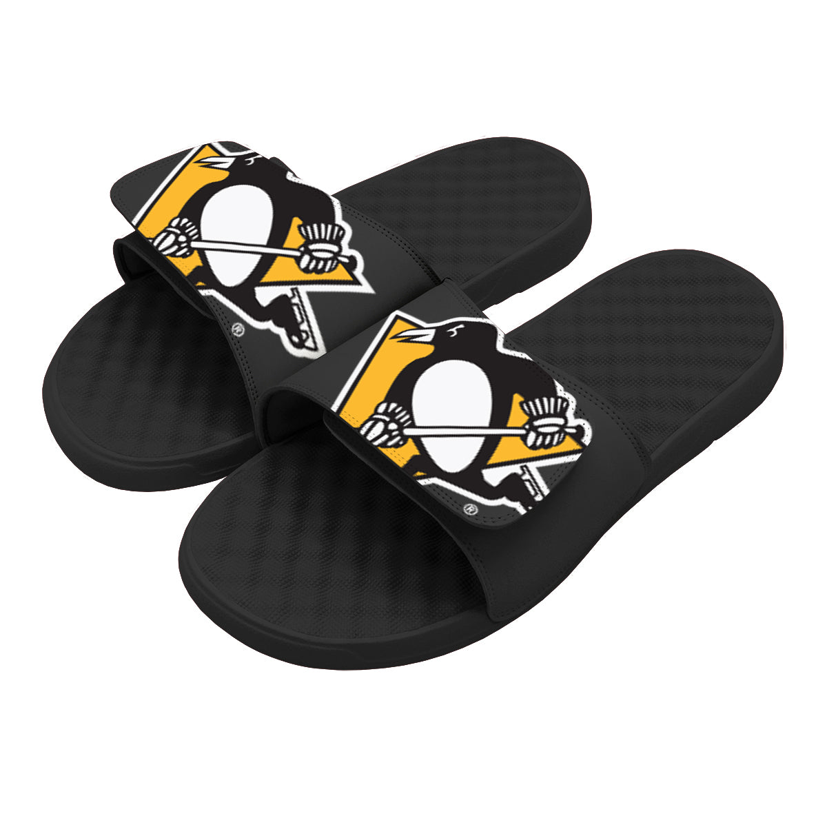 Pittsburgh Penguins Blown Up Slides