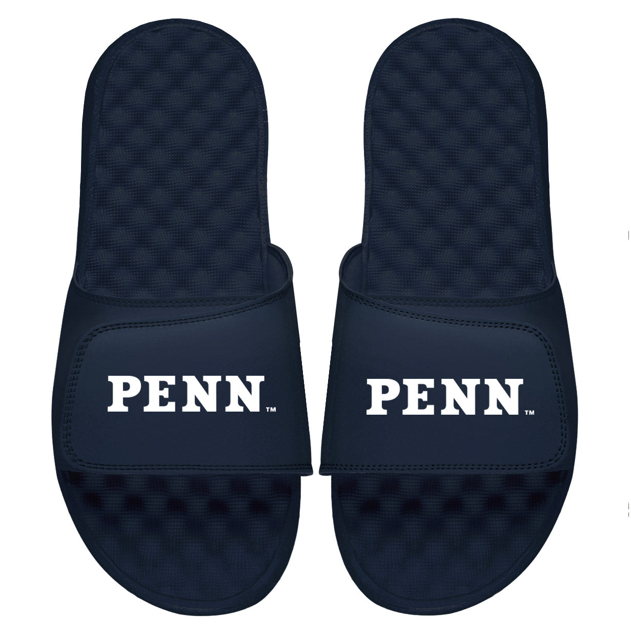 Penn Wordmark Slides