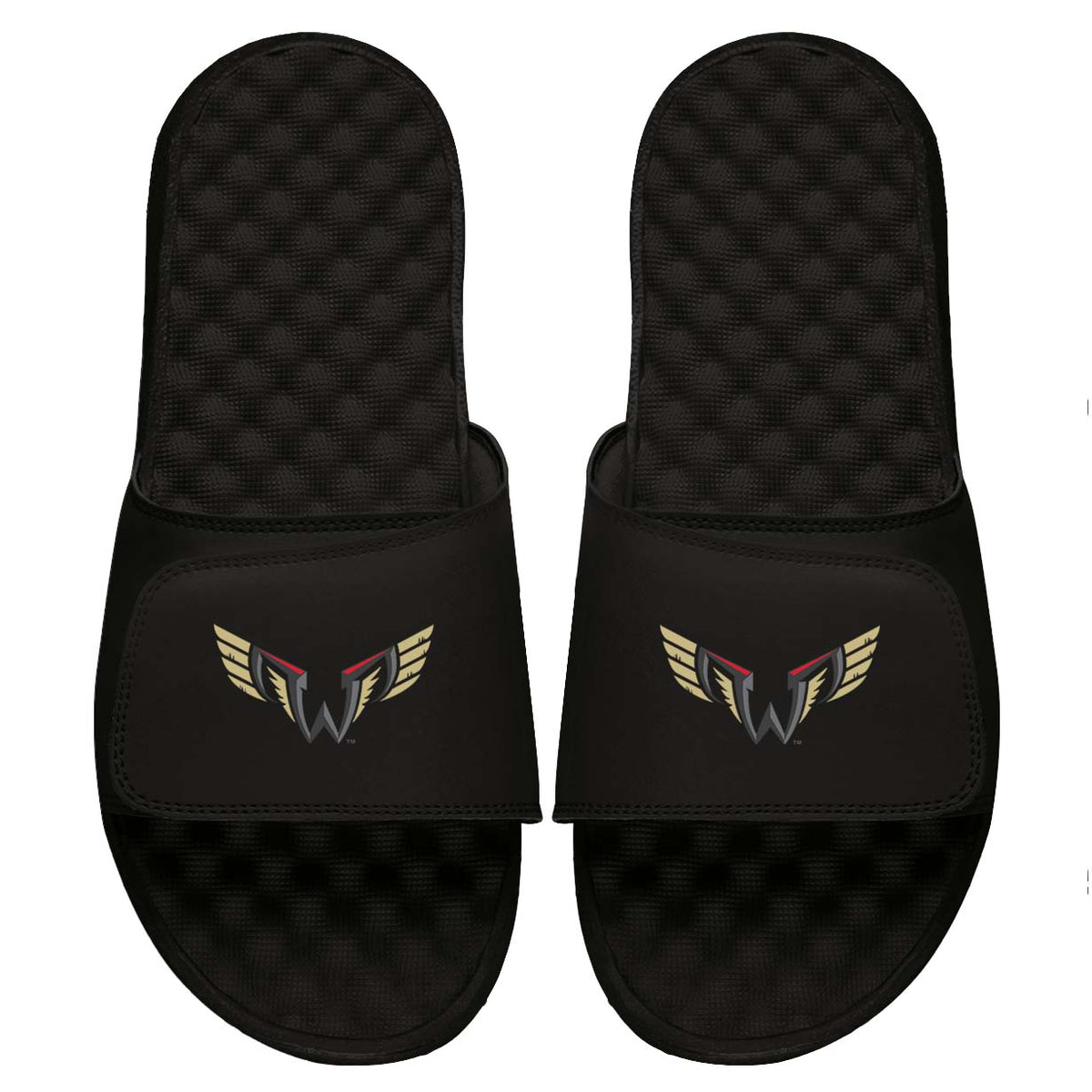 Philadelphia Wings Slides