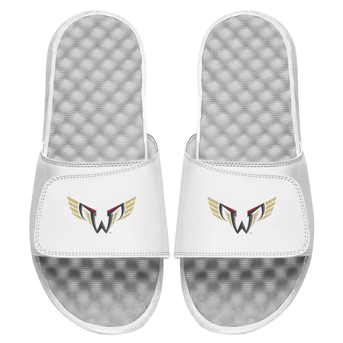 Philadelphia Wings Slides