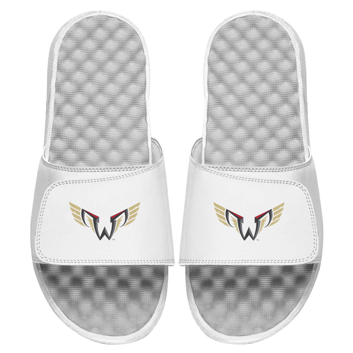 Philadelphia Wings Slides