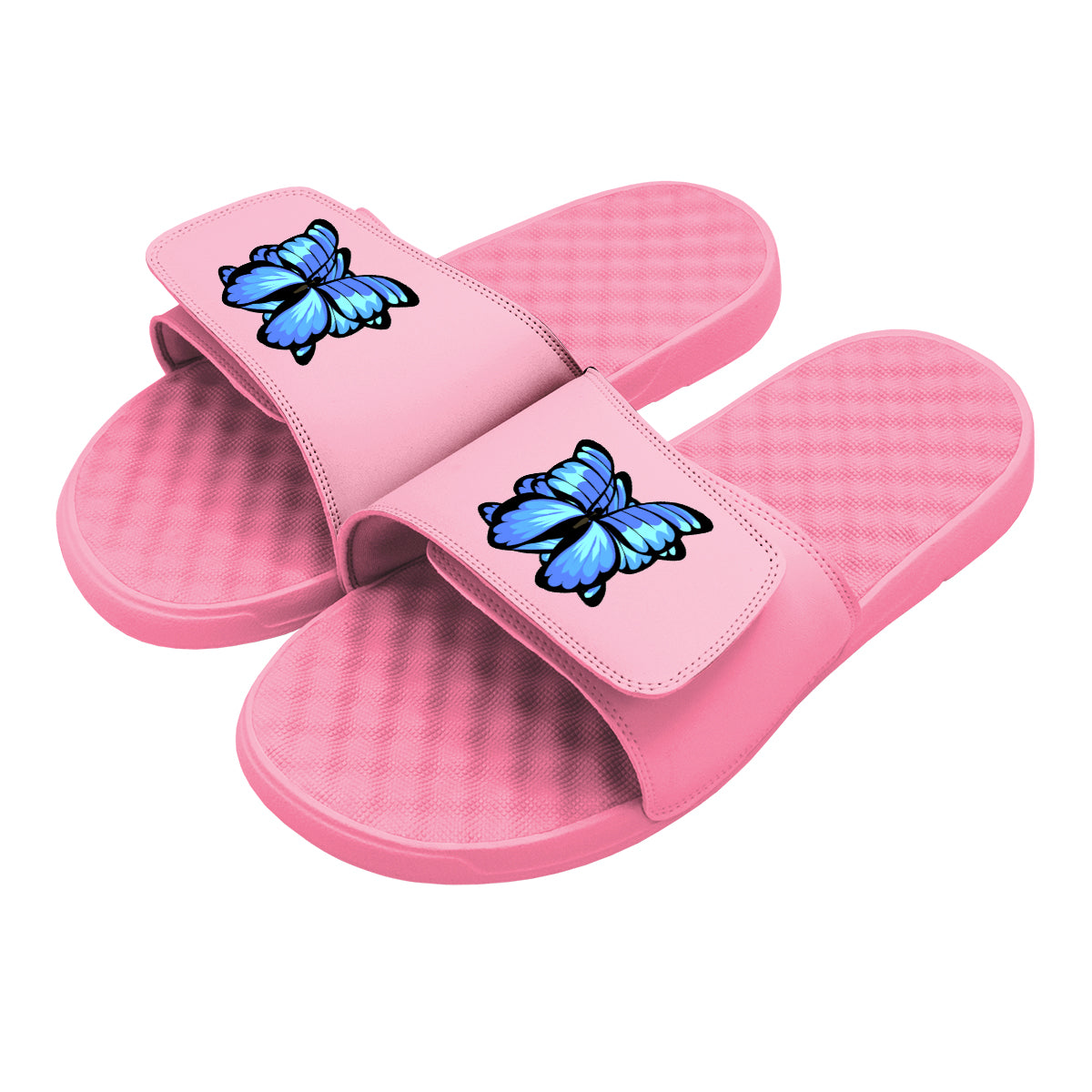 Blue Butterfly Slides