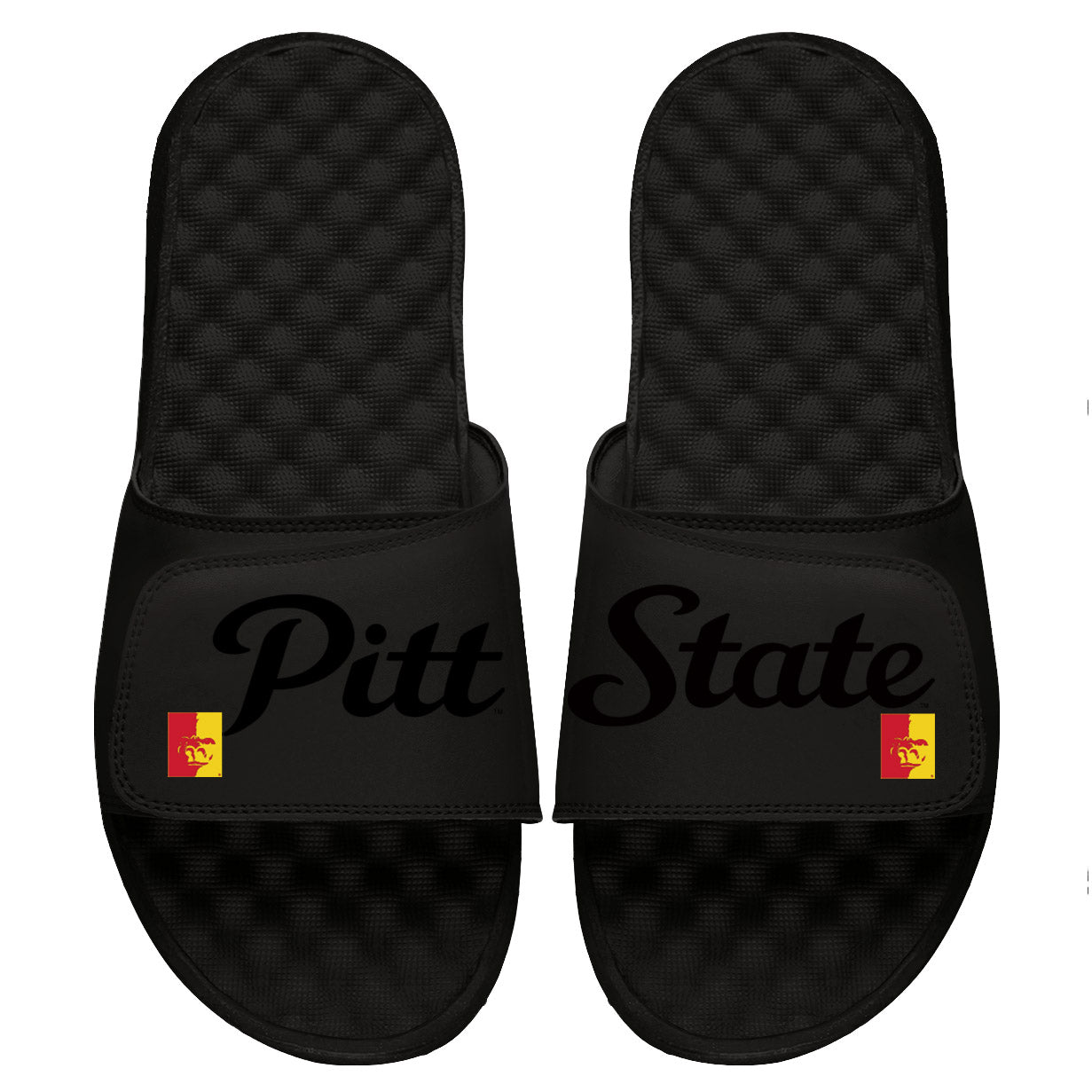 Pitt State Split Tonal Pop Slides