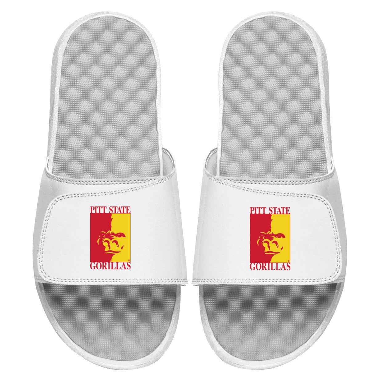 Pitt State Alternate Slides