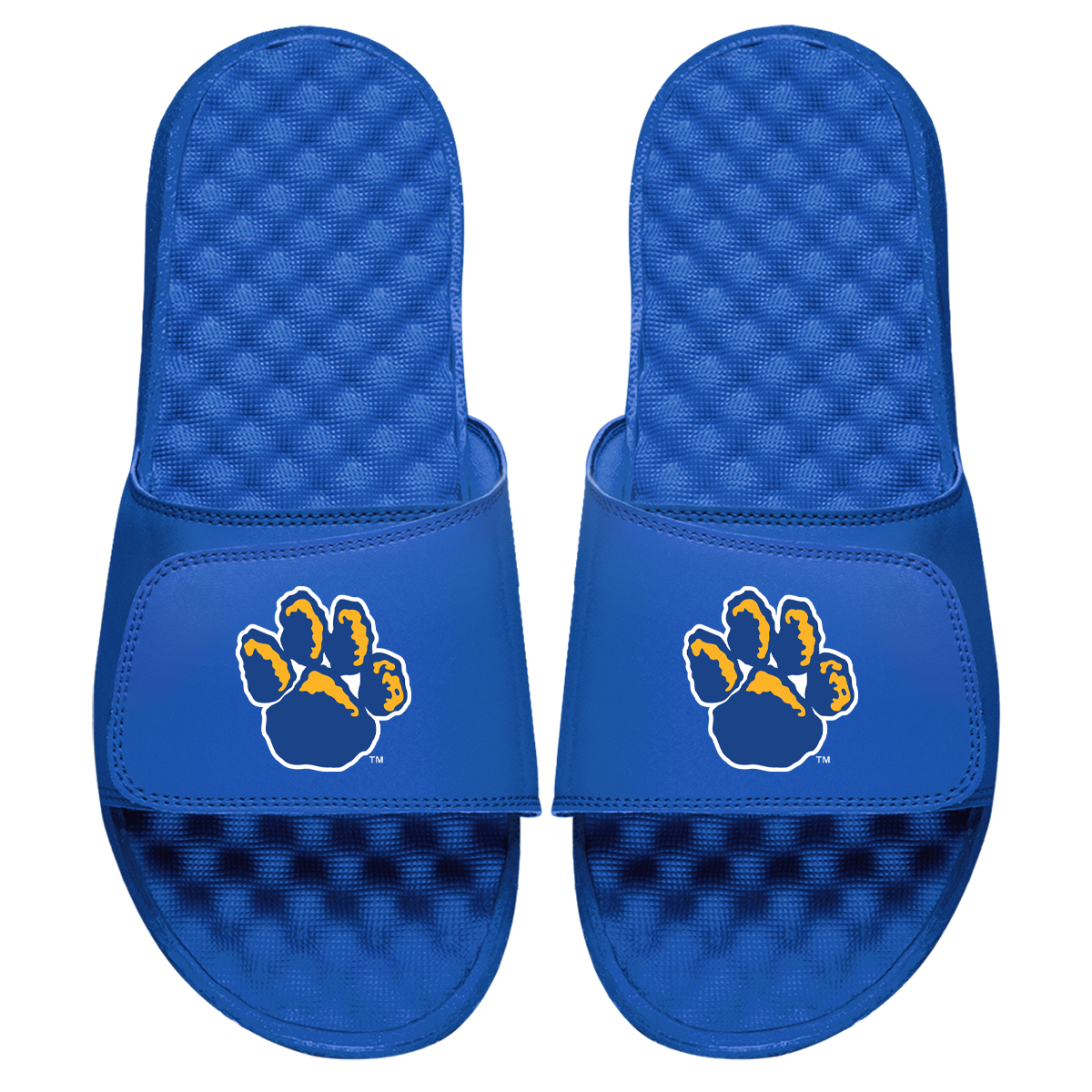Pitt Mascot Paw Slides