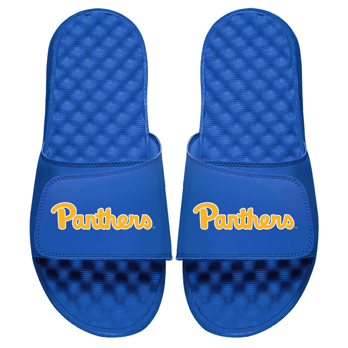 Pitt Panthers Wordmark Slides