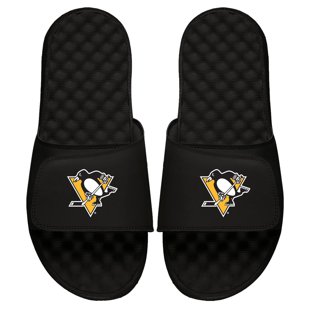 Pittsburgh Penguins Primary Slides