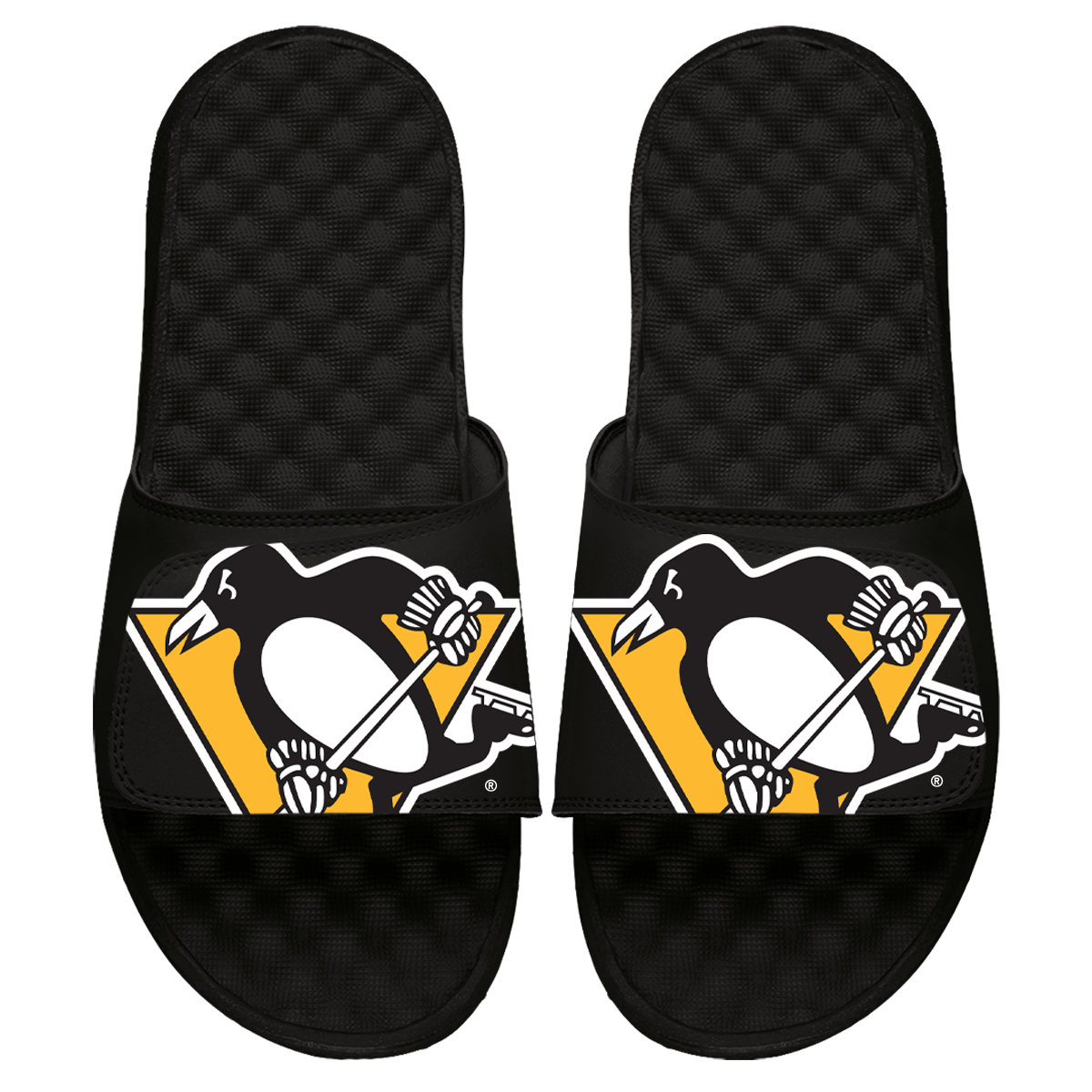 Pittsburgh Penguins Blown Up Slides