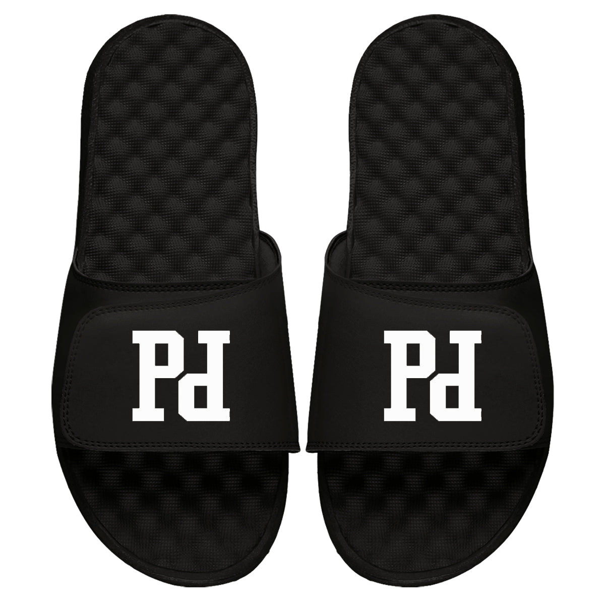 Prodigy Logo Slides