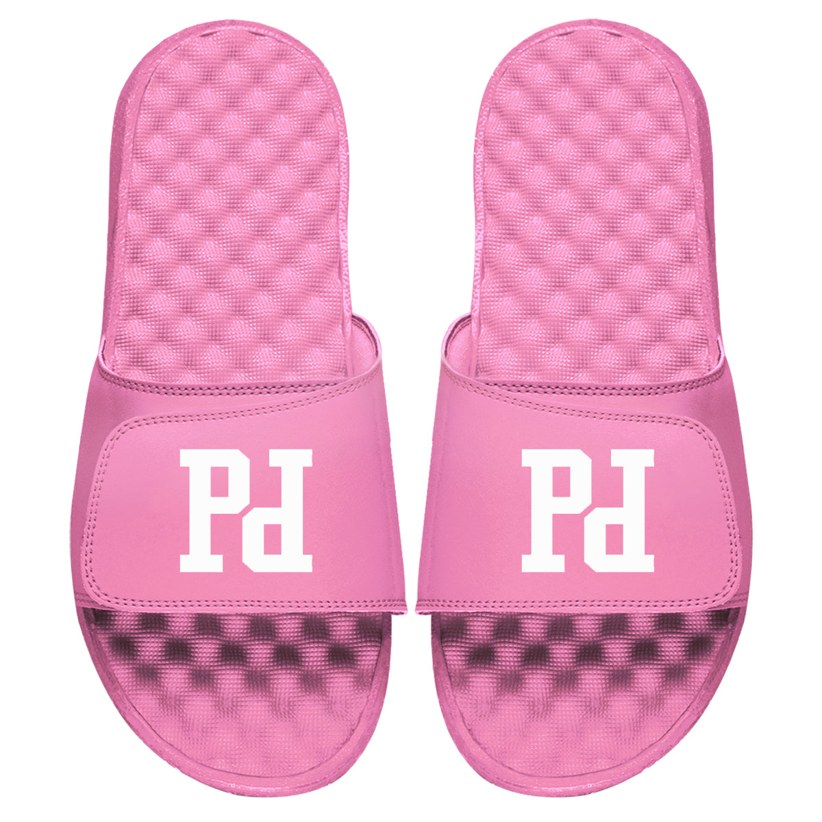 Prodigy Logo Slides