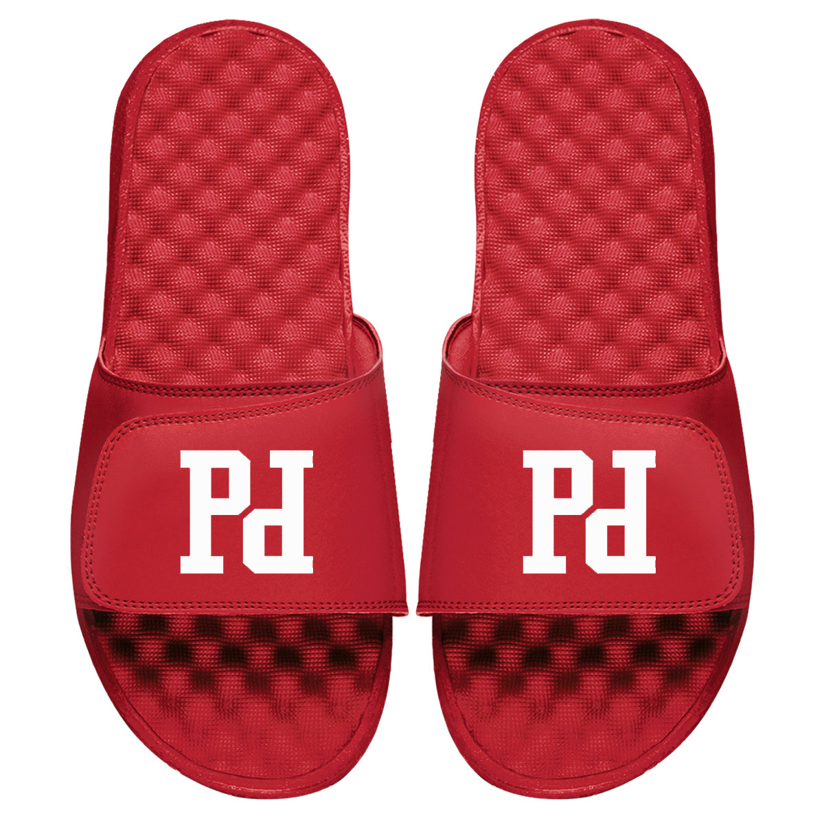 Prodigy Logo Slides