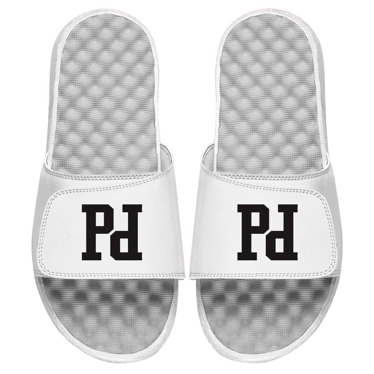 Prodigy Logo Slides