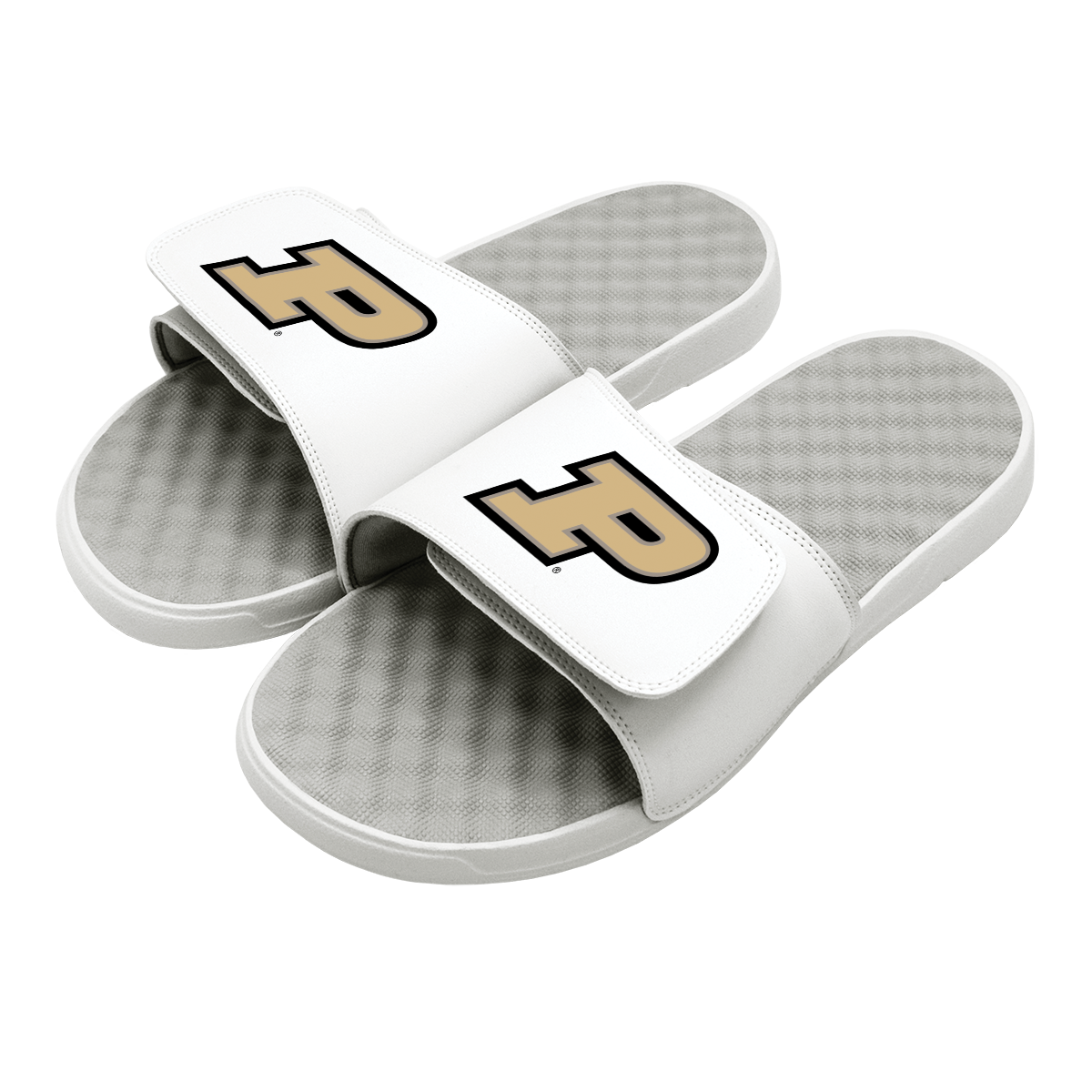 Purdue Primary Slides