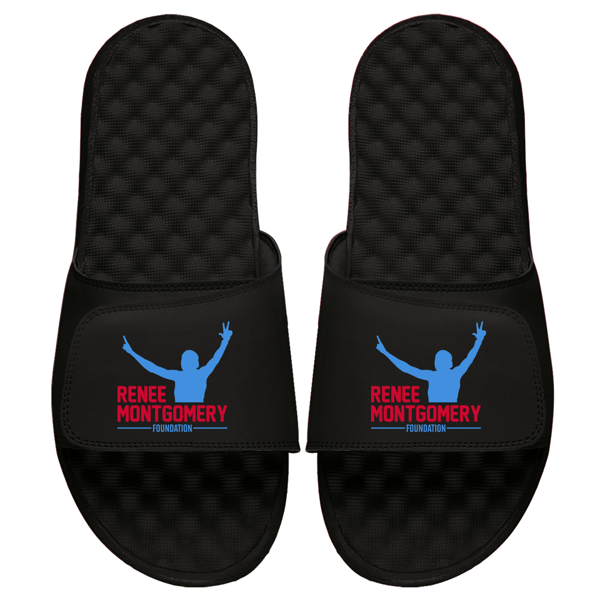 Renee Montgomery Foundation Slides
