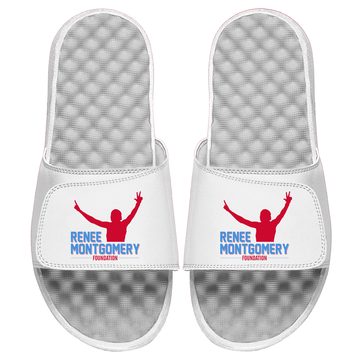 Renee Montgomery Foundation Slides