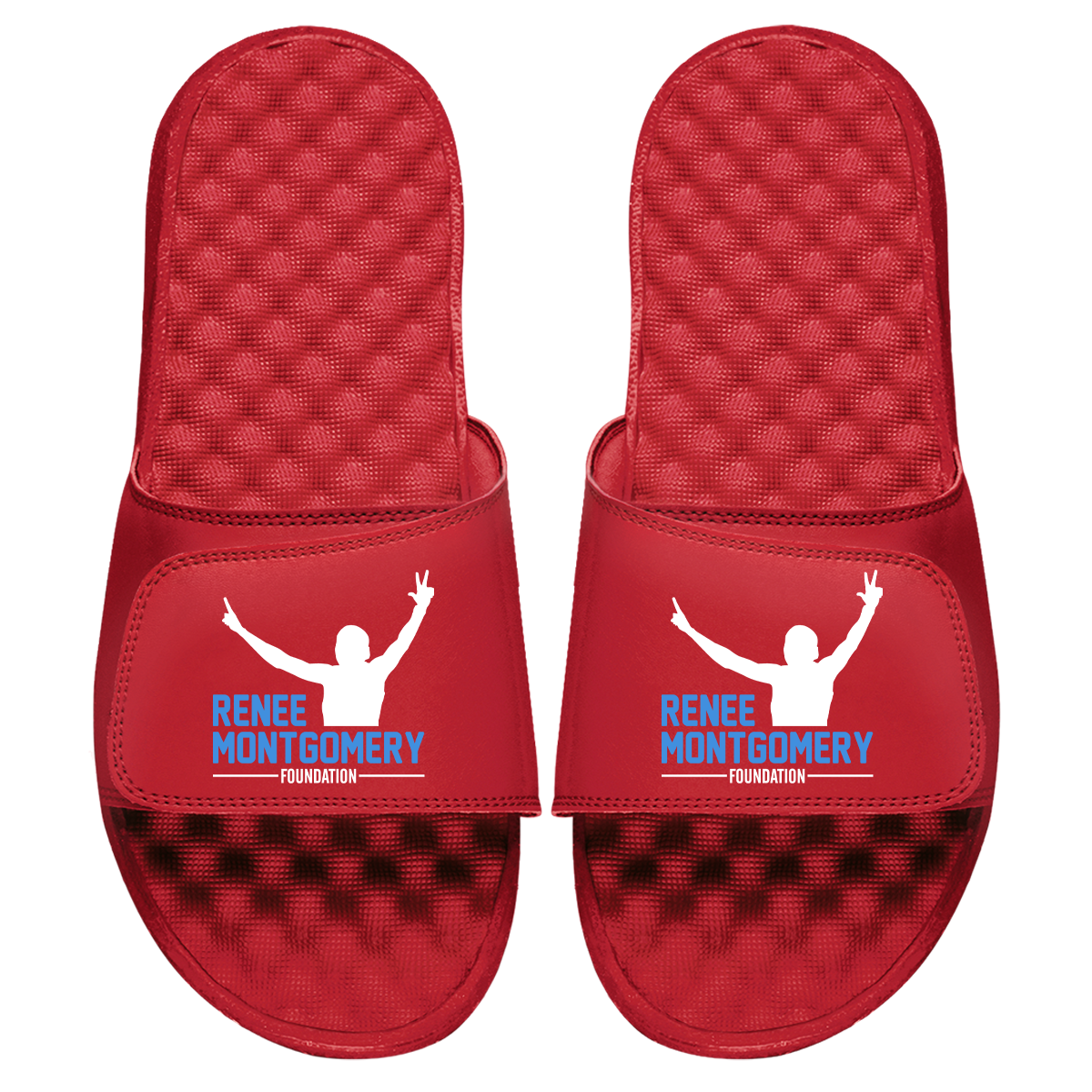 Renee Montgomery Foundation Slides