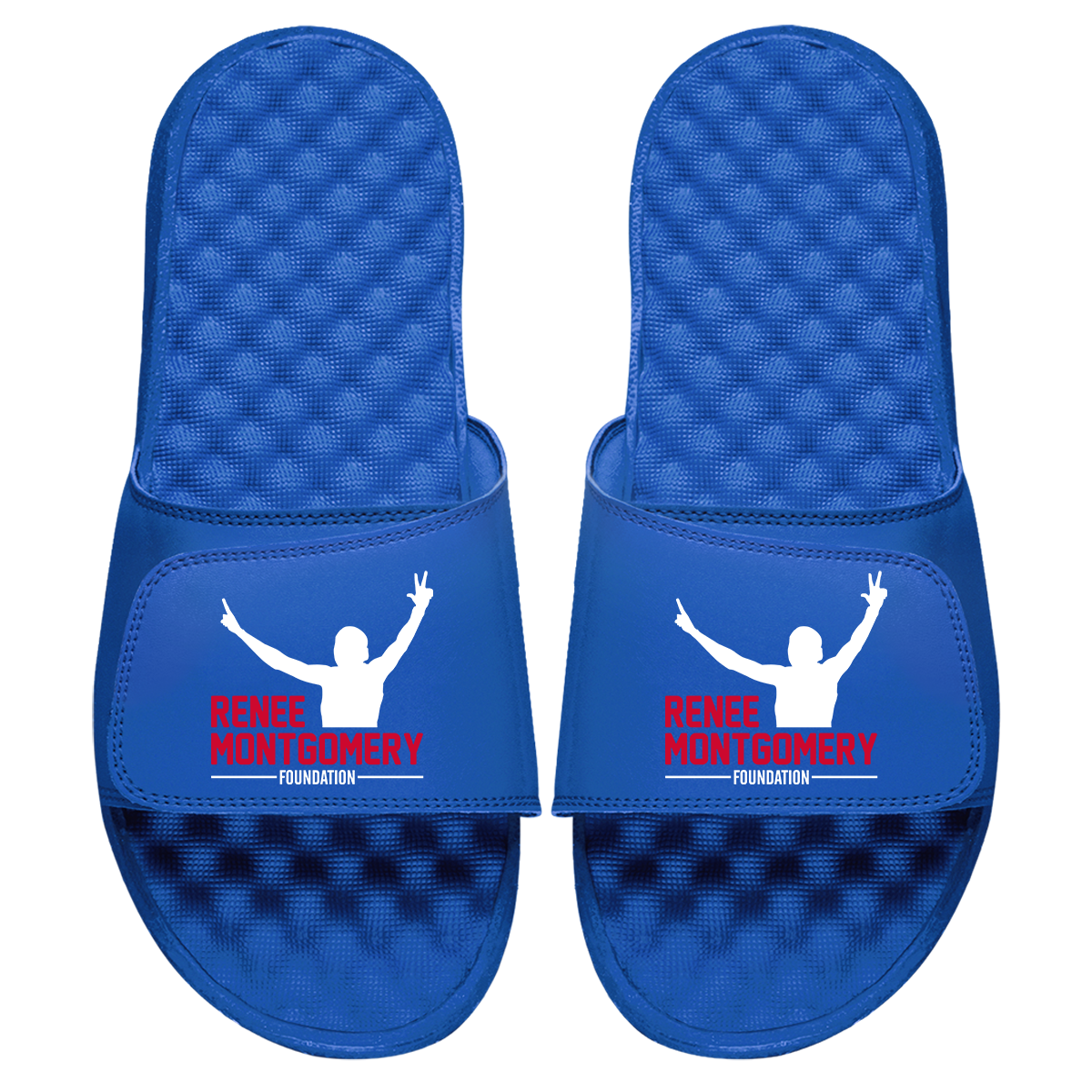 Renee Montgomery Foundation Slides