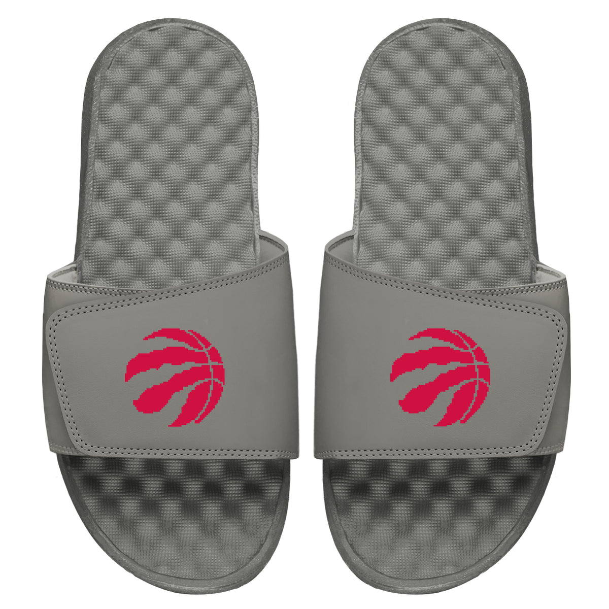 Raptors 8Bit Logo Slides