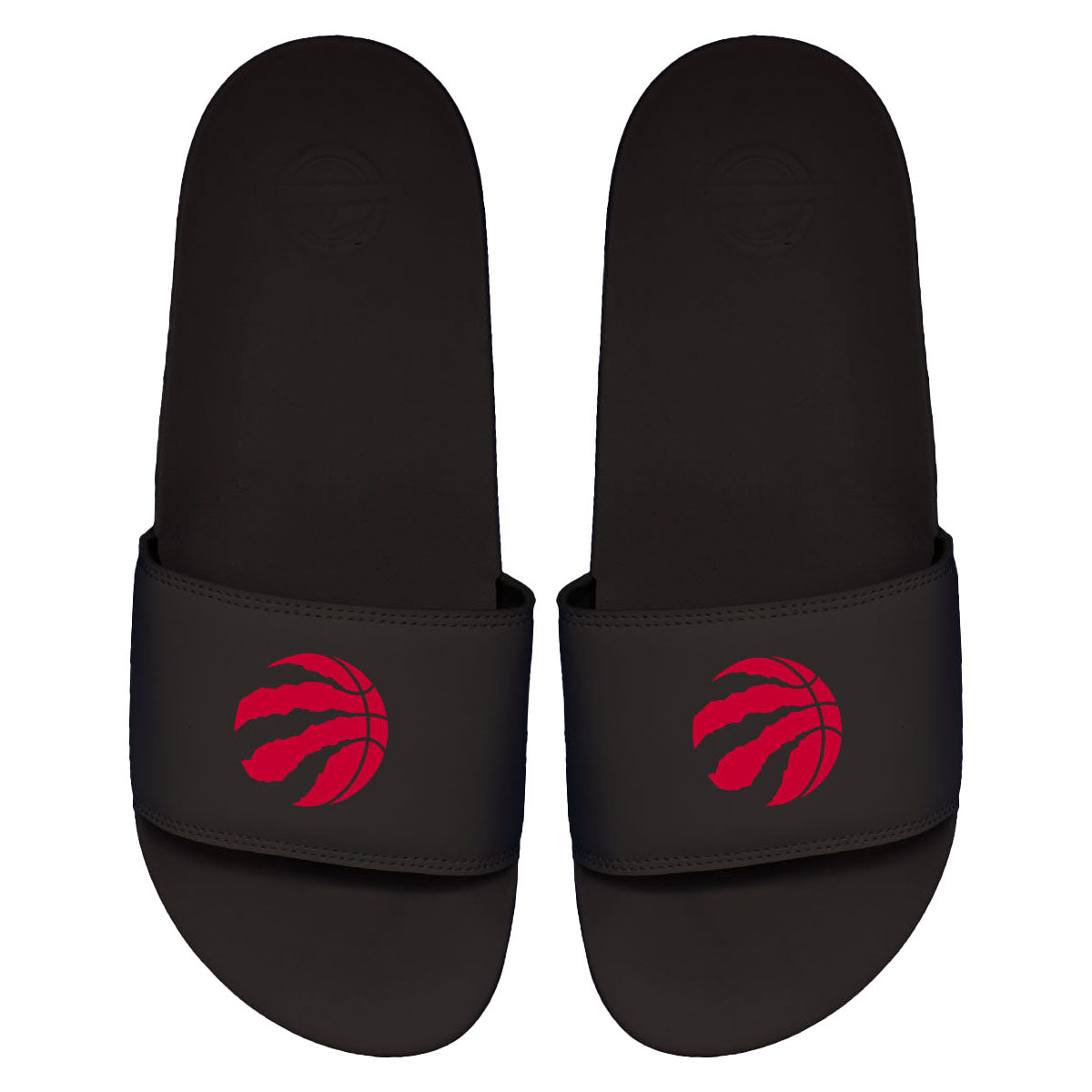 Raptors Primary Motto Slides