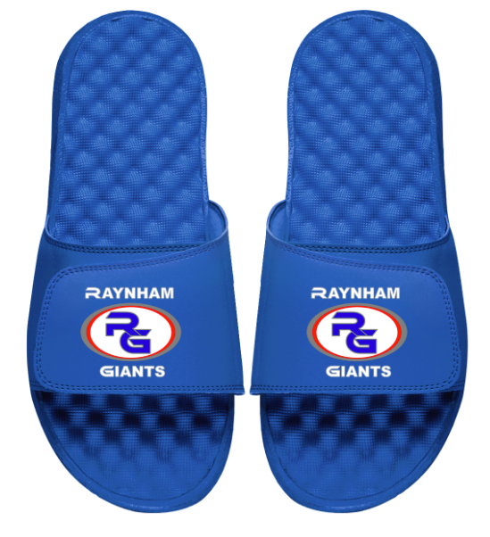Raynham Giants Slides
