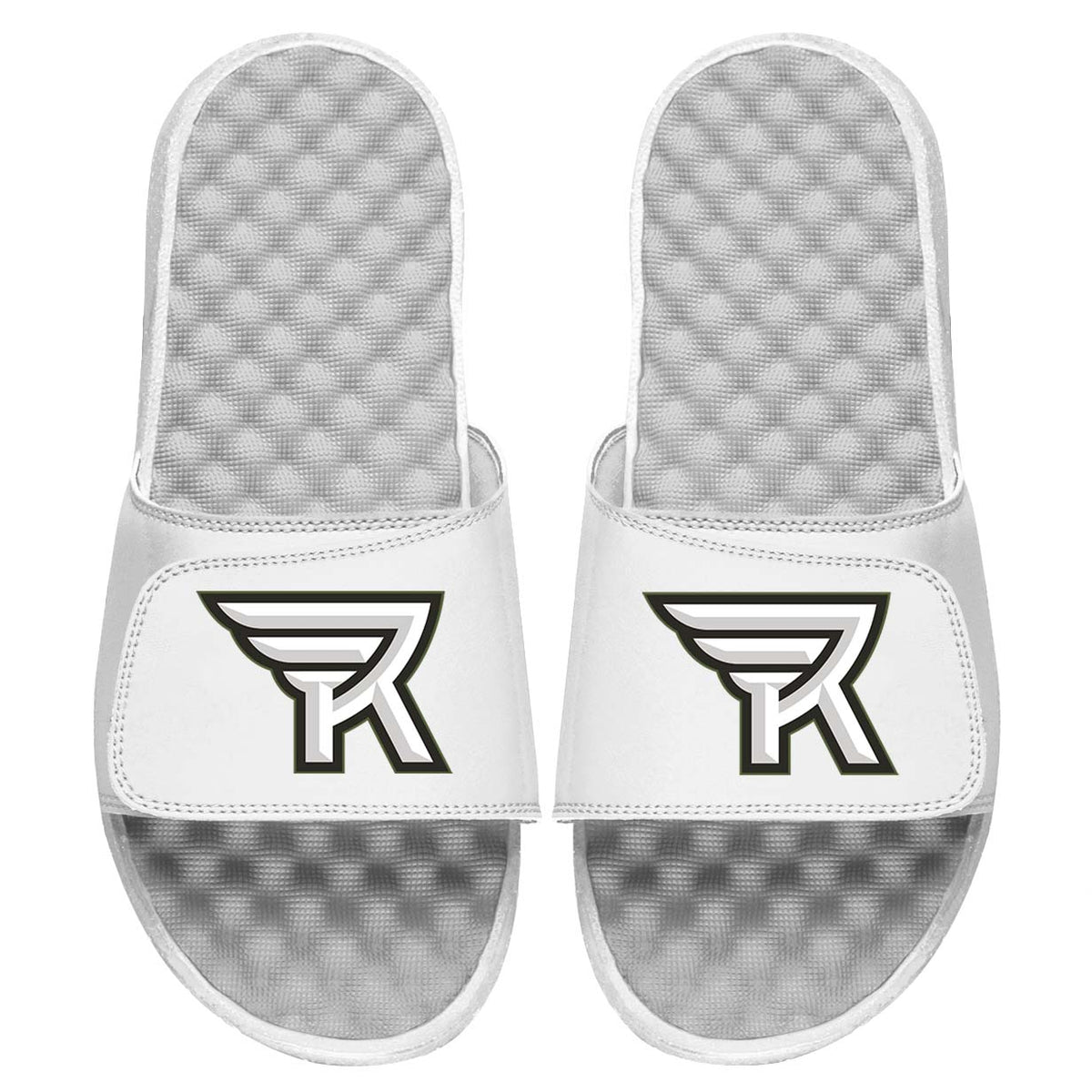 Rochester Knight Hawks Slides