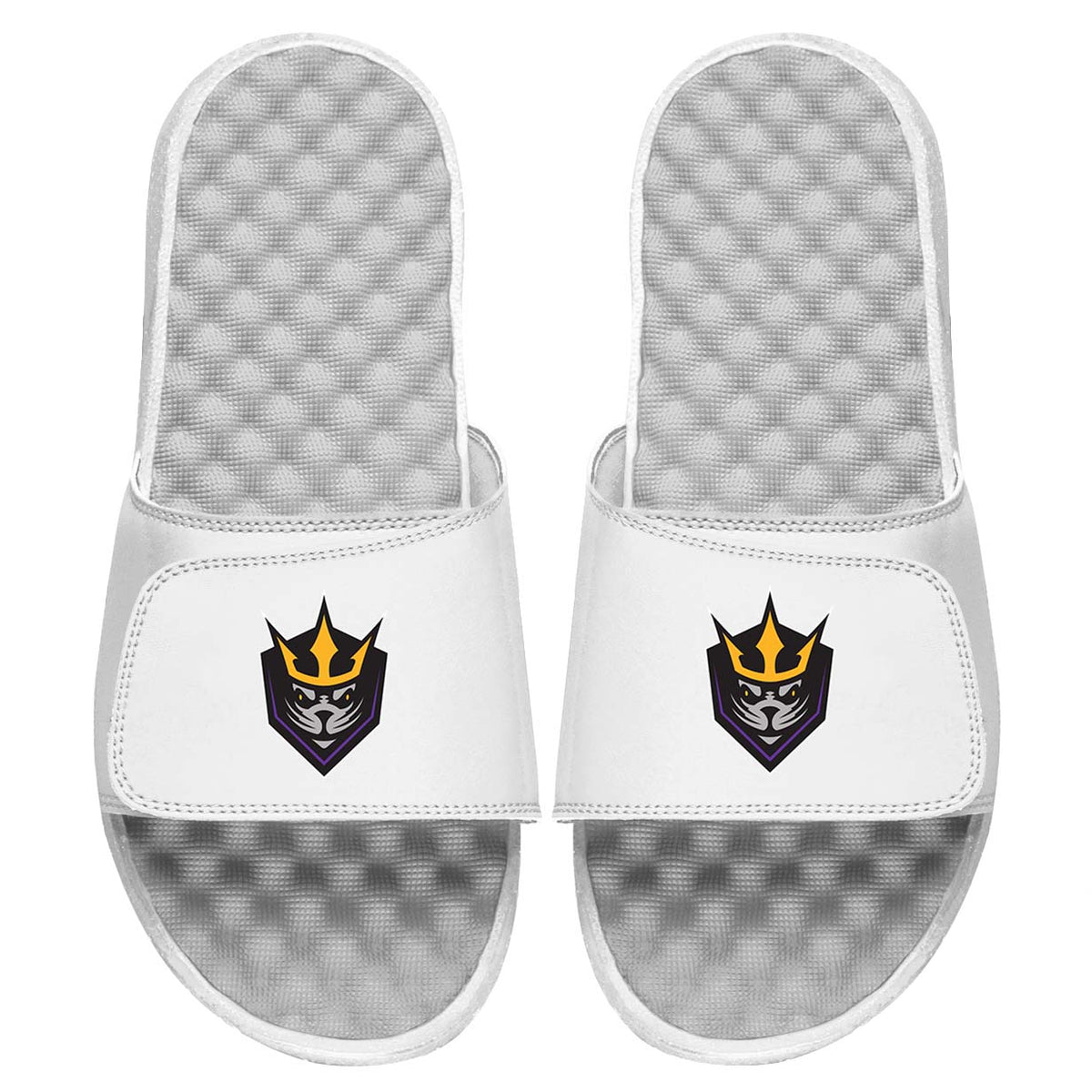 San Deigo Seals Slides