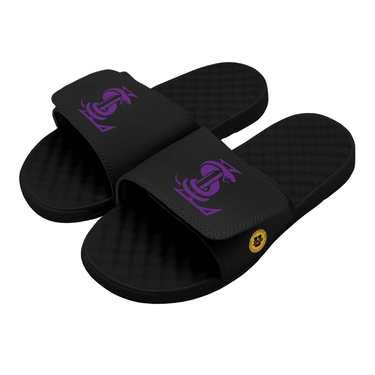 SL Primary Purple Slides