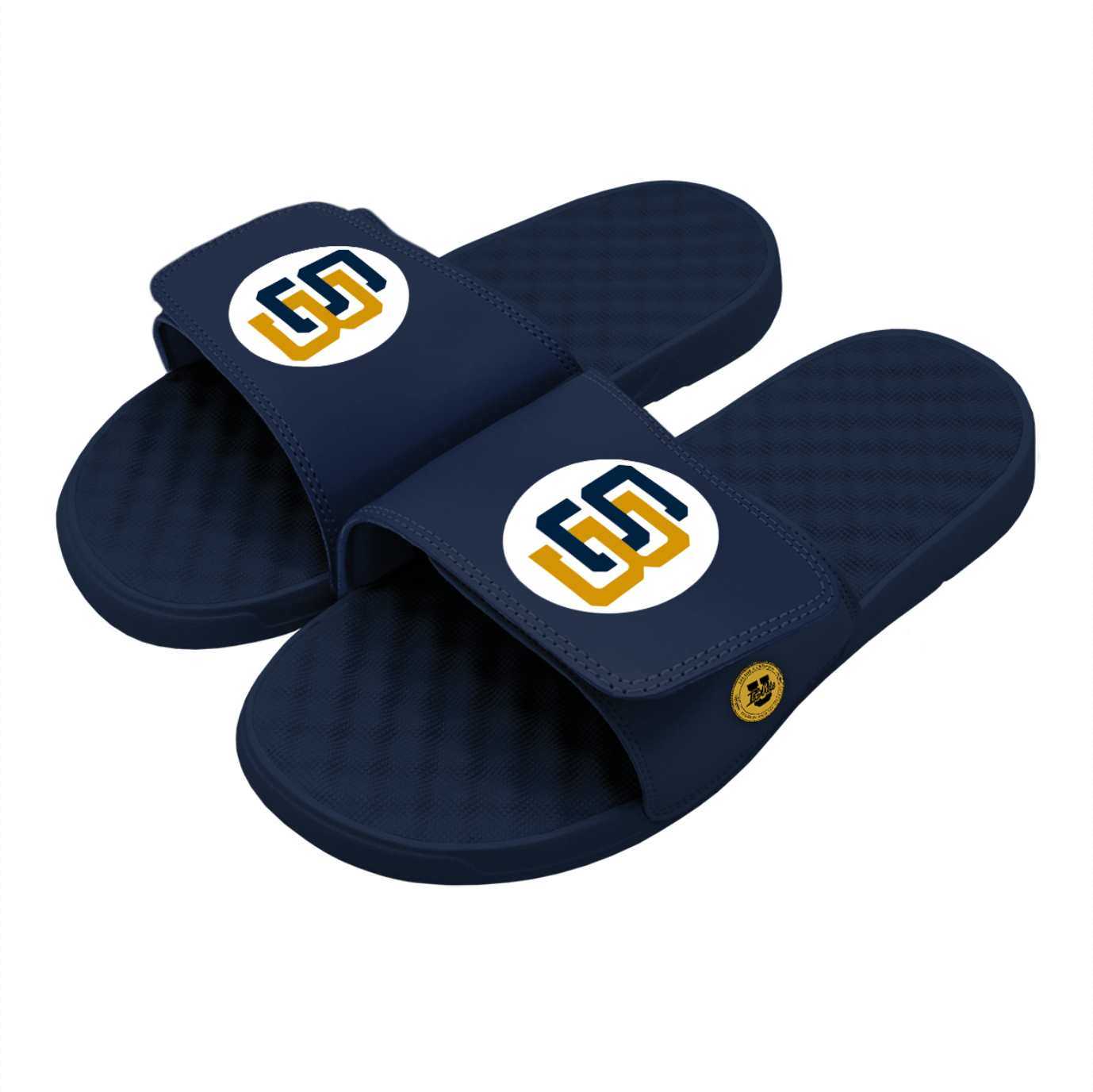 Sam Brunelle SB Slides