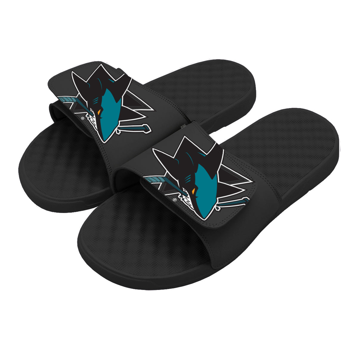 San Jose Sharks Blown Up Slides ISlide