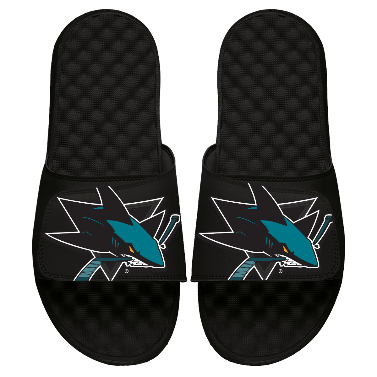 San Jose Sharks Blown Up Slides