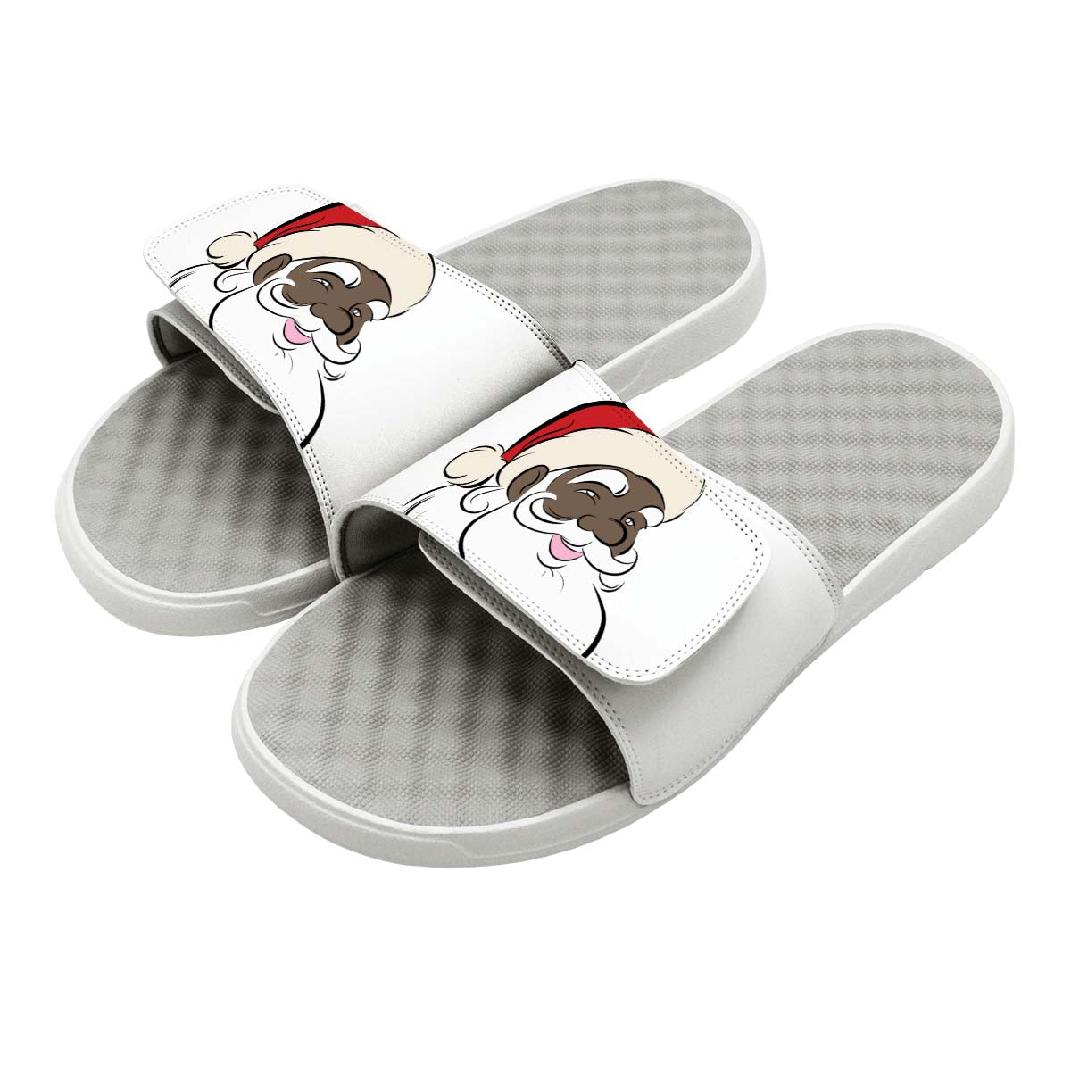 Santa Great White Slides