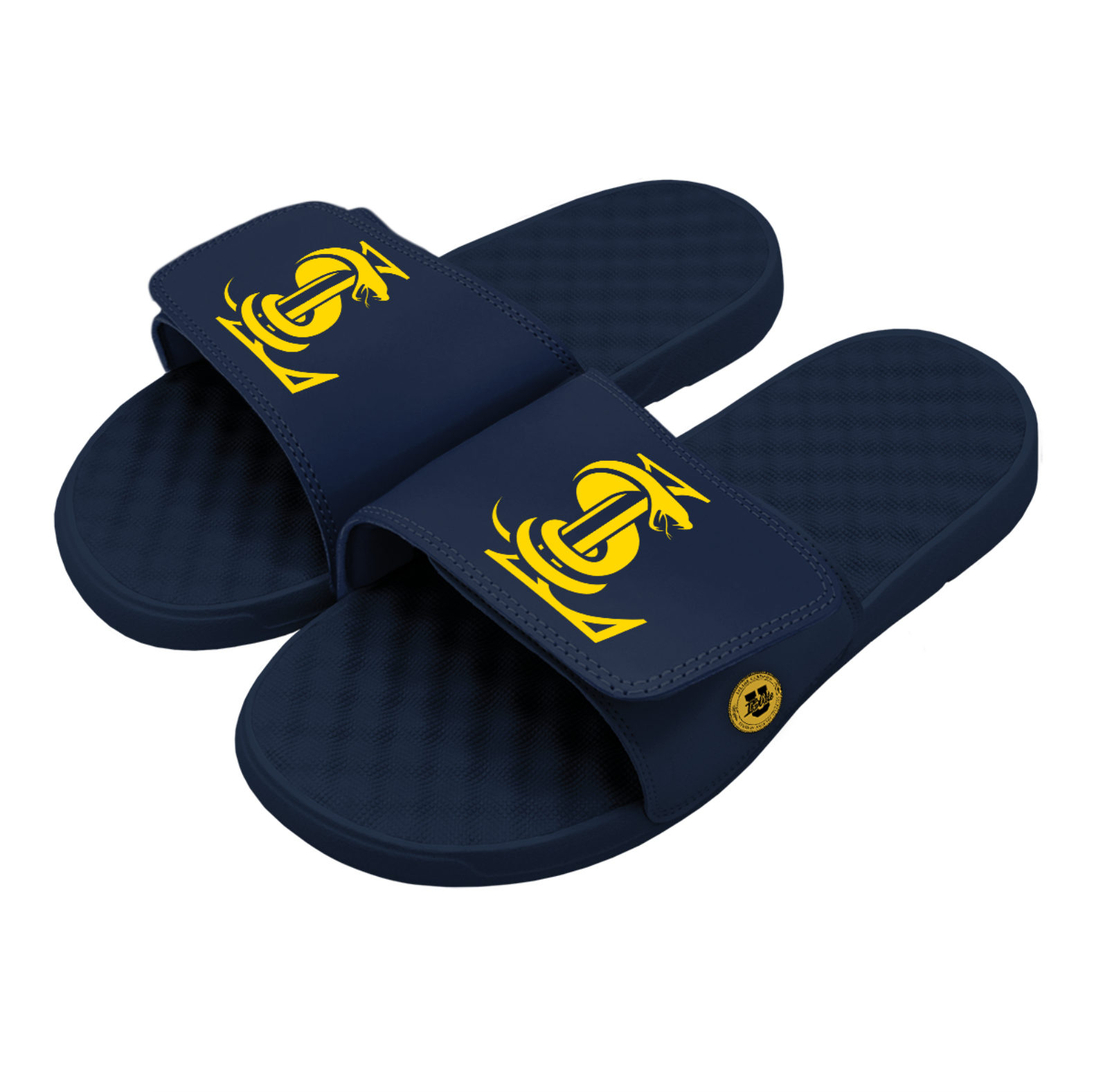 Limited Edition: SL Primary Slides