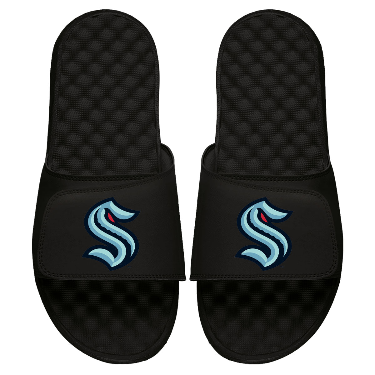 Kraken Primary Logo Slides