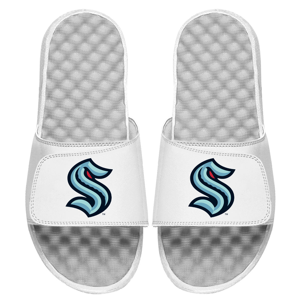 Kraken Primary Logo Slides