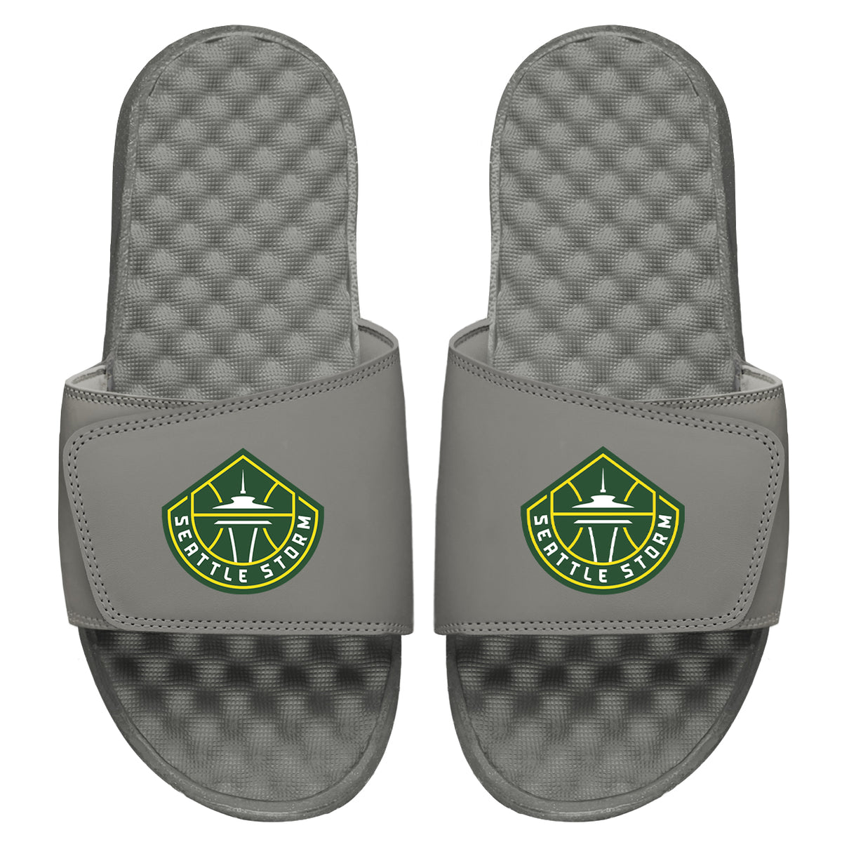 Seattle Storm Alternate Logo Slides
