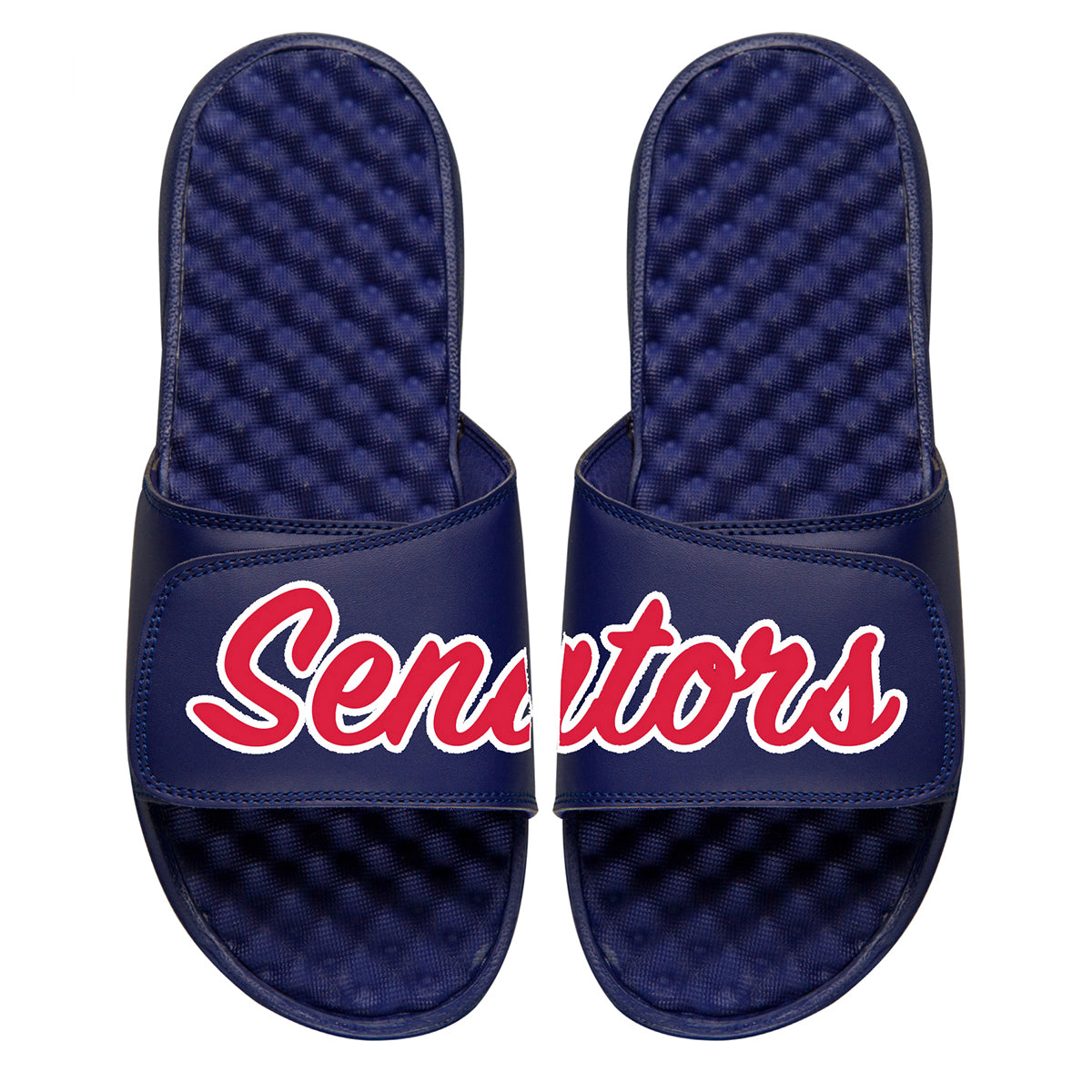 Senators Baseball Slides