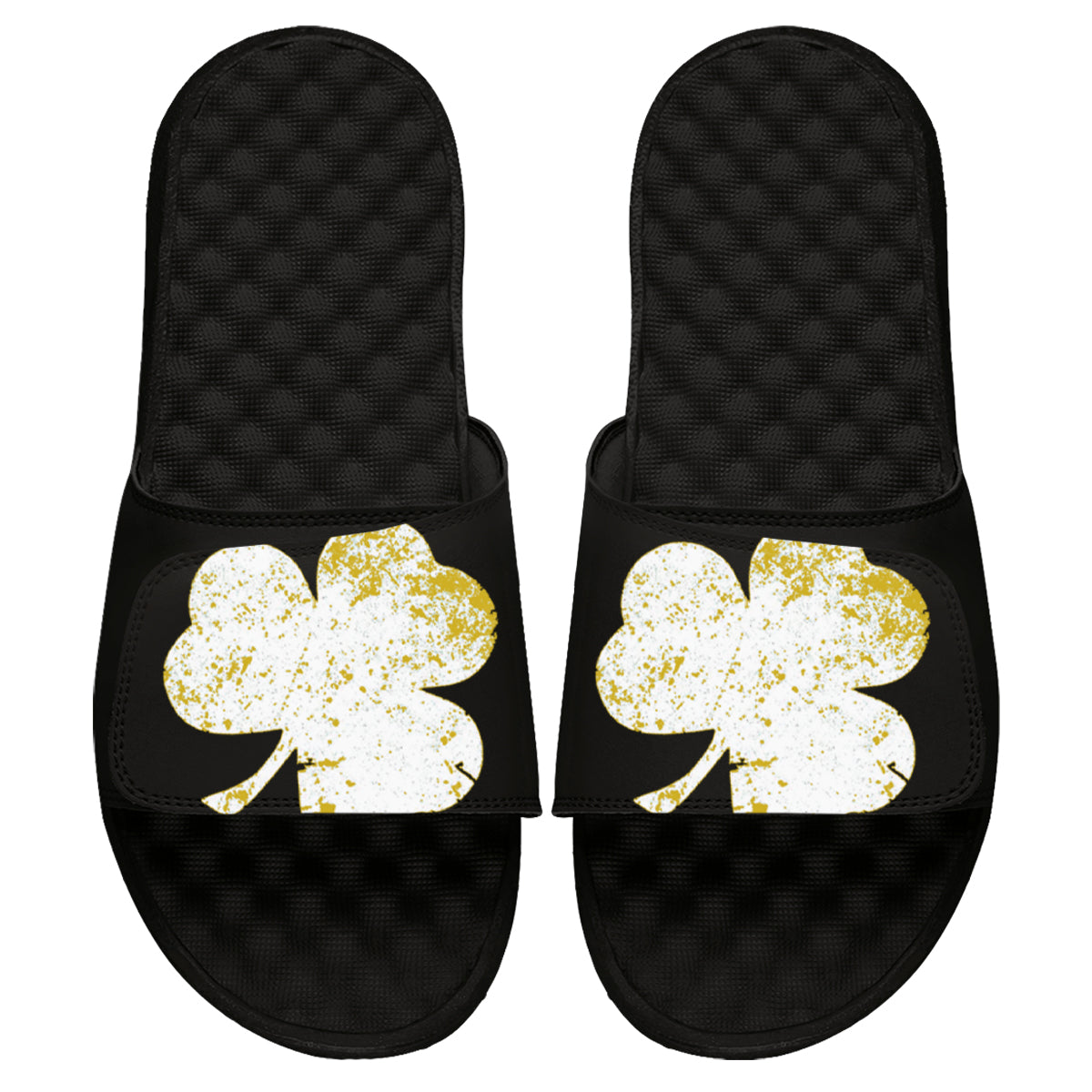 Shamrock Blown Up Slides