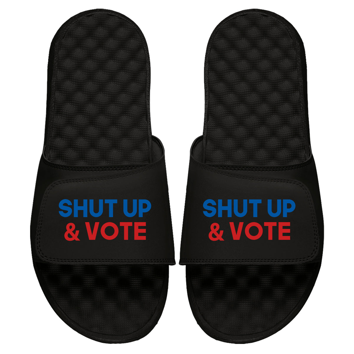 Shut Up And Vote Slides