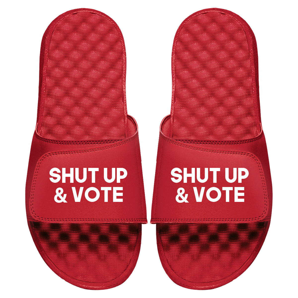 Shut Up And Vote Slides