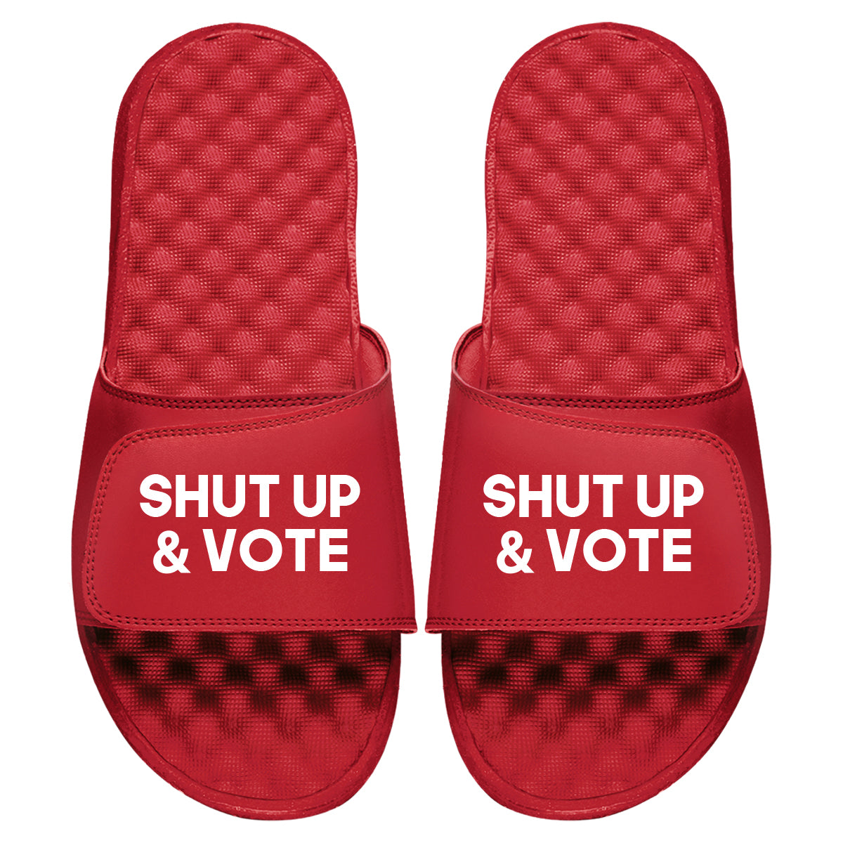 Shut Up And Vote Slides