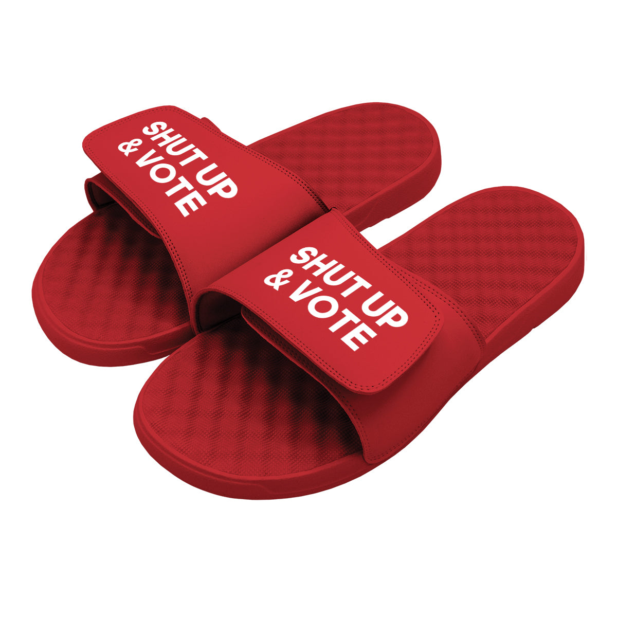 Shut Up And Vote Slides