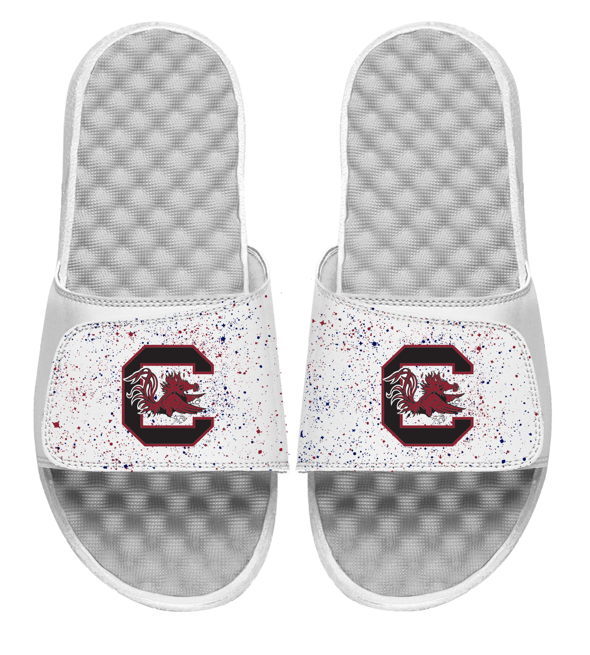 South Carolina Primary Speckle Slides