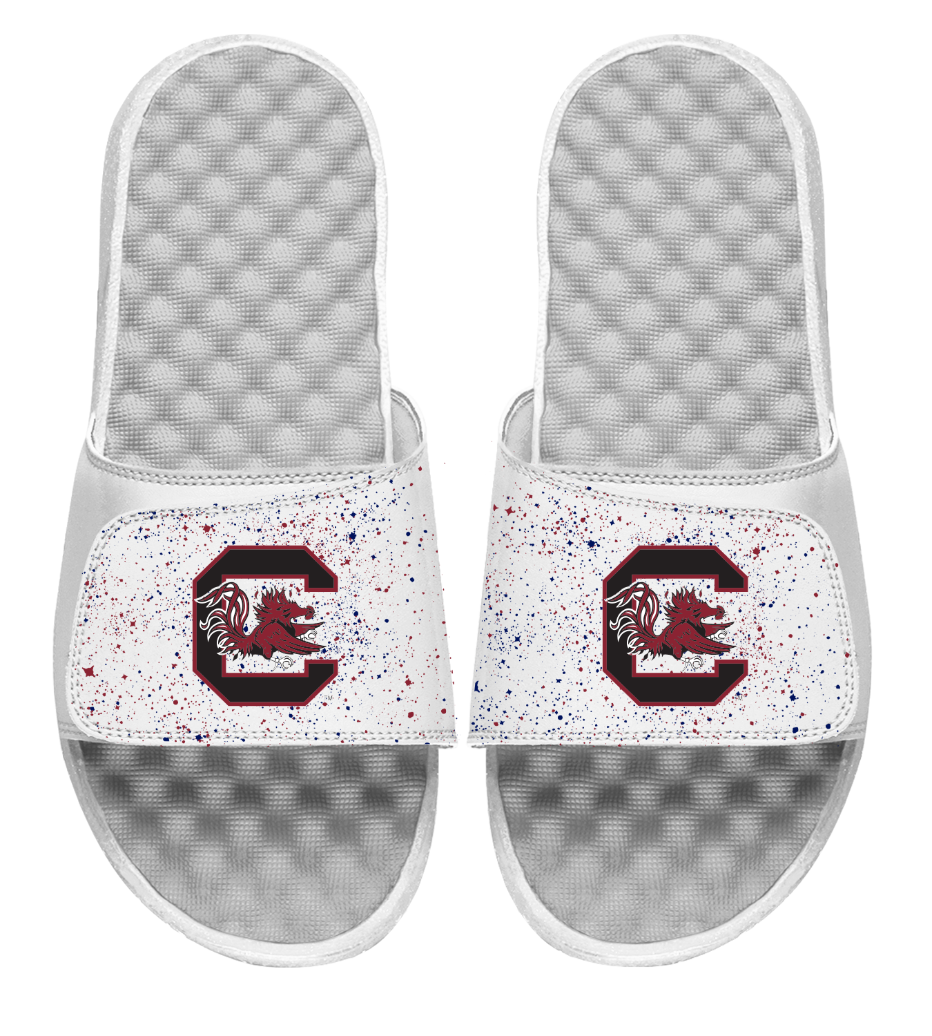 South Carolina Primary Speckle Slides
