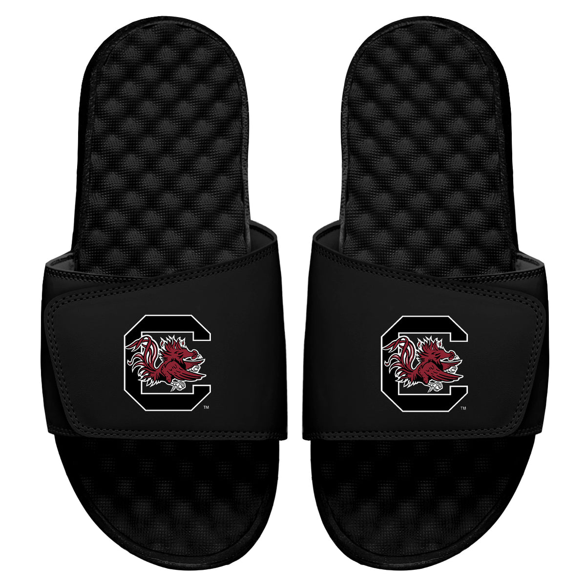 South Carolina Gamecocks Primary Slides