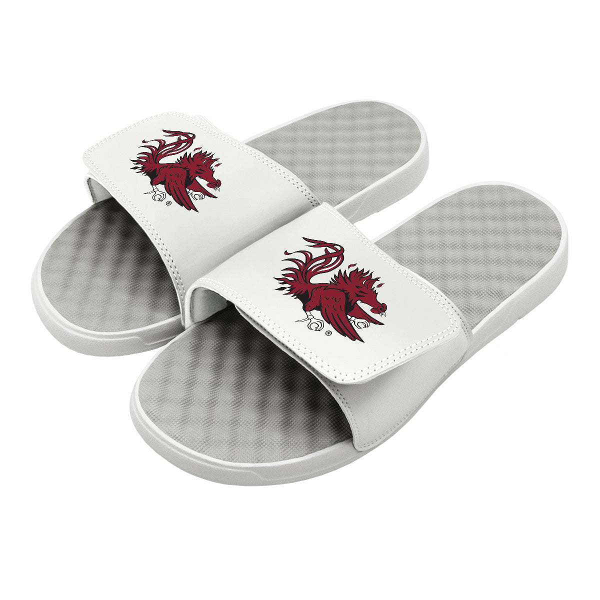 South Carolina Secondary Slides