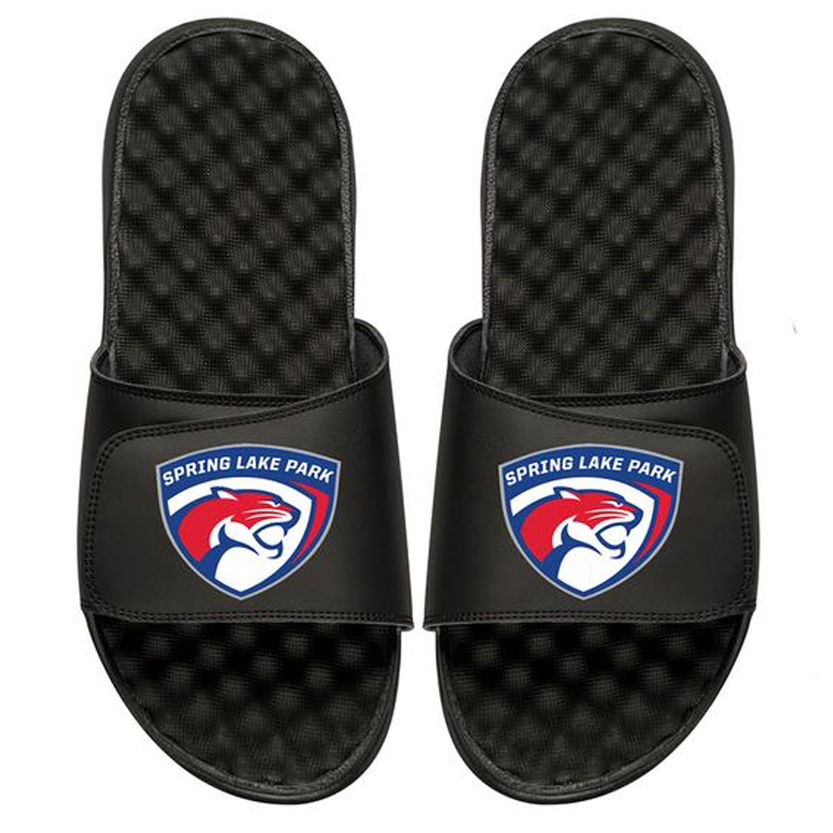 Spring Lake Park Logo Slides - ISlide