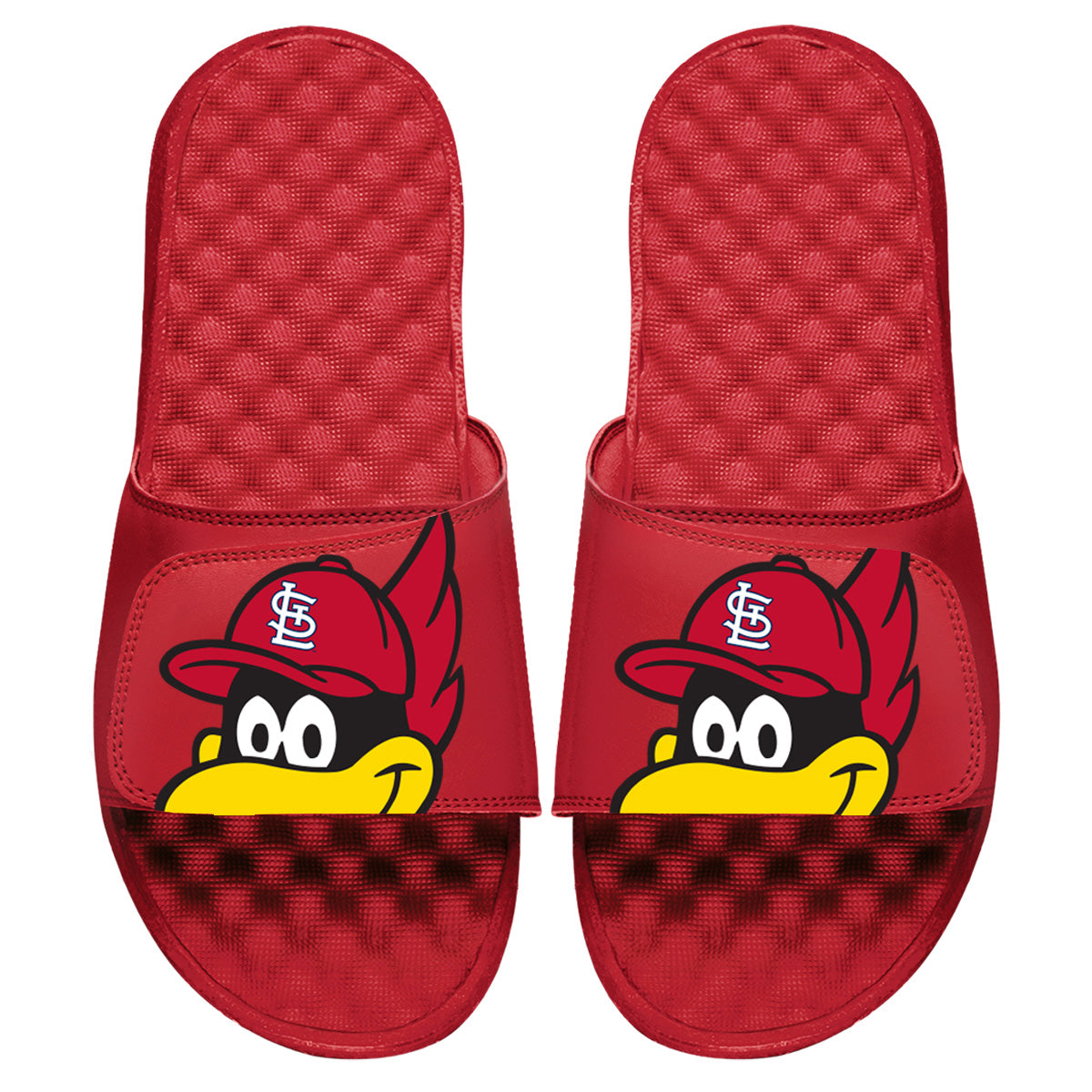 St. Louis Cardinals Mascot Slides