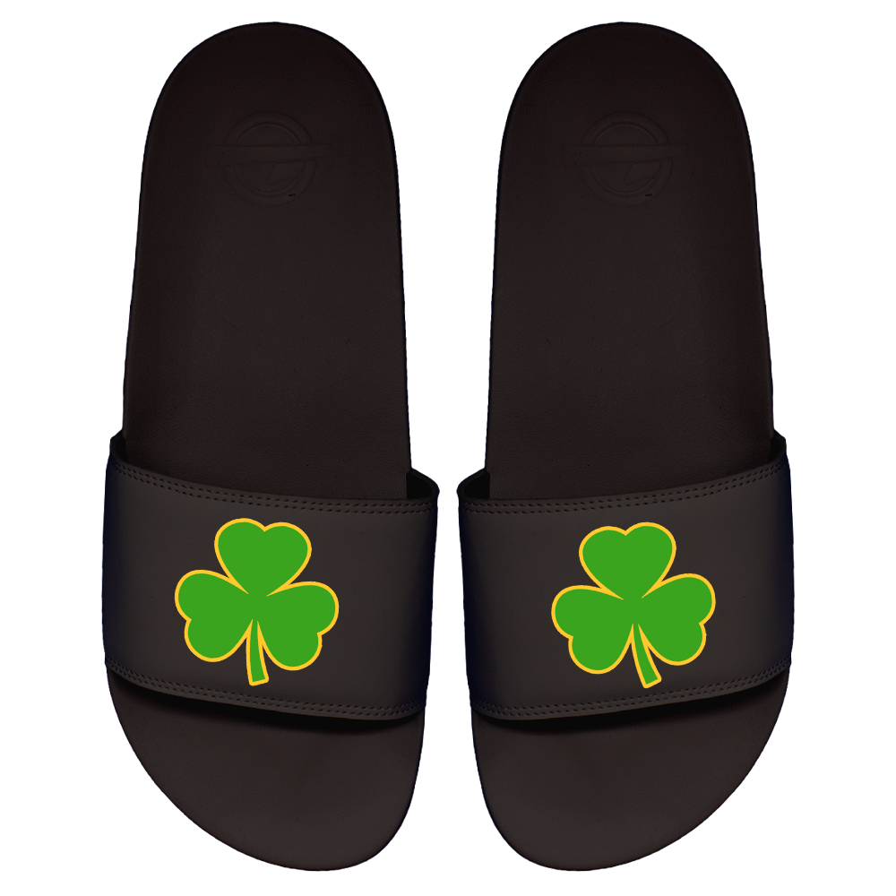 Shamrock Slides
