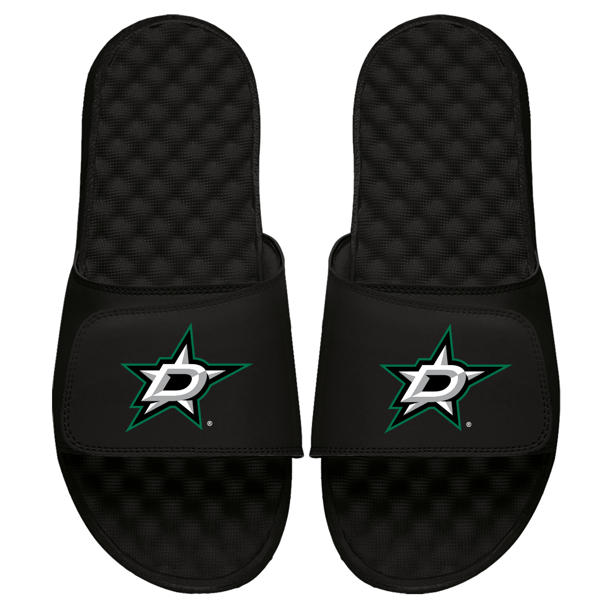 Dallas Stars Primary Slides